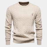 Rogier | Pull Homme au Design Raffiné