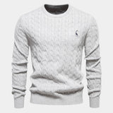 Rogier | Pull Homme au Design Raffiné