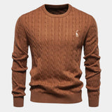 Rogier | Pull Homme au Design Raffiné