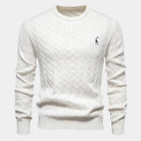 Rogier | Pull Homme au Design Raffiné